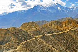 trail thumbnail graphic